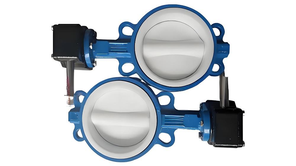 氟塑之盾：蝶阀的耐腐蚀之道